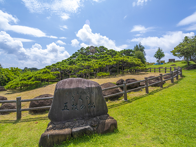 五枝の松