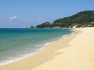 世界遺産の「屋久島」をぐるりと一周観光！のんびり1dayドライブモデルコース