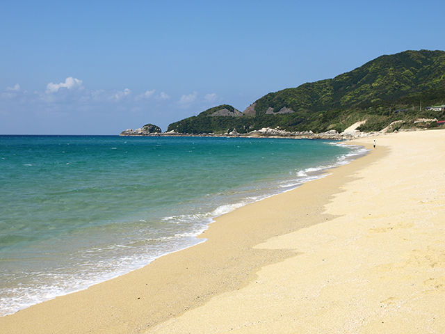 世界遺産の 屋久島 をぐるりと一周観光 のんびり1dayドライブモデルコース 九州 屋久島 鹿児島 おすすめ旅行プラン モデルコースならオリオンツアー