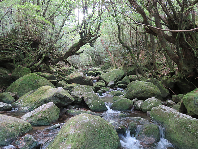 白谷広場