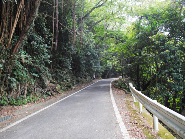 西部林道