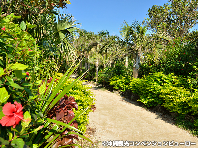 由布島（亜熱帯植物楽園）