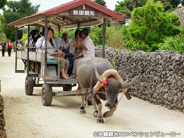 水牛車観光