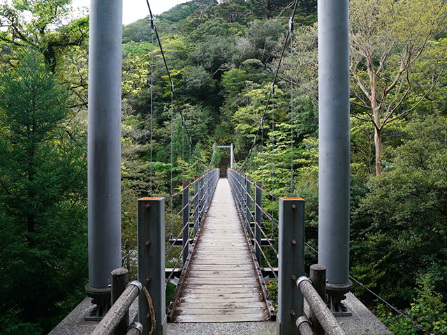 さつき吊り橋