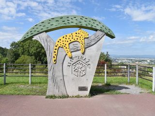 初めての旭山動物園！人気の動物を訪ねるモデルコース