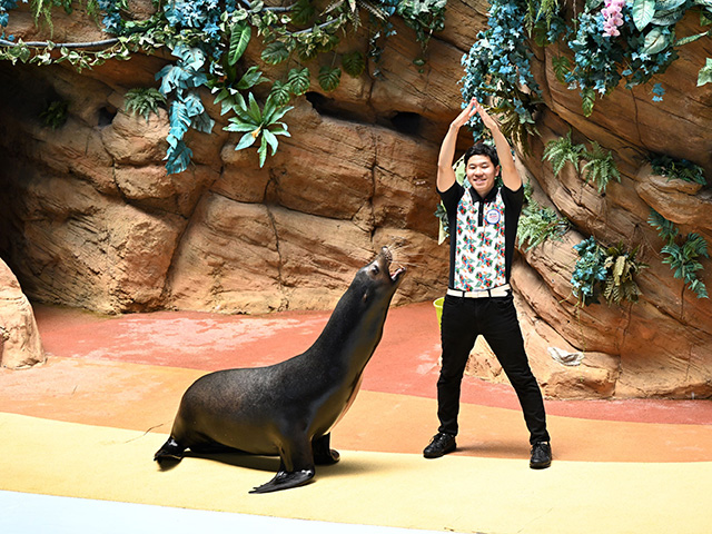 アニマルランド