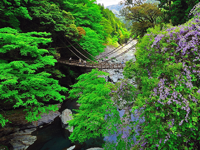 秘境 祖谷渓 大歩危 の絶景をめぐる 徳島定番観光も押さえた2泊3日モデルコース 四国 徳島 おすすめ旅行プラン モデルコースならオリオンツアー