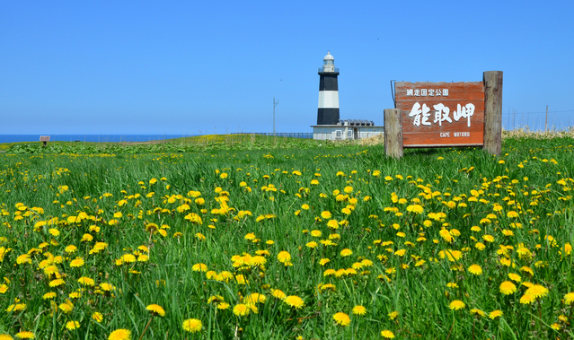 能取岬