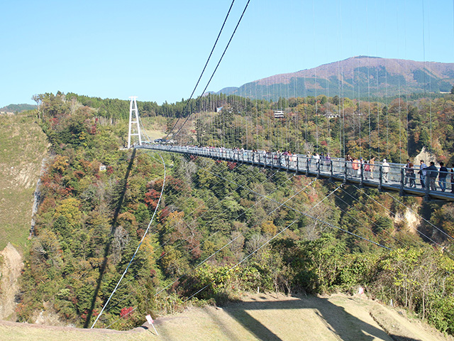 九重“夢”大吊橋