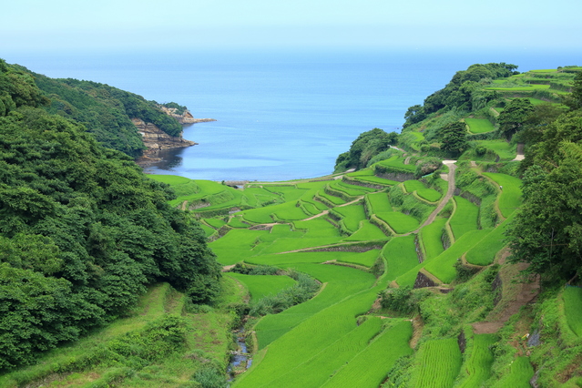 浜野浦の棚田