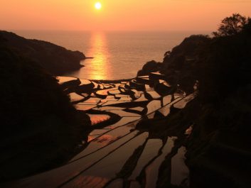 浜野浦の棚田