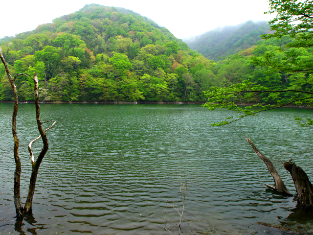 鶏頭場の池