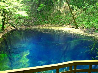 『世界遺産 白神山地』トレッキング初心者でも大丈夫！神秘の青池や十二湖をめぐる絶景満喫！日帰りモデルコース