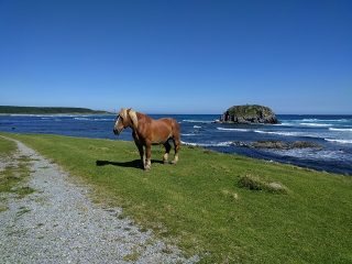 本州最北端、恐山や大間など下北半島をぐるり一周！ 奥入瀬・十和田もめぐる！2泊3日おすすめ観光モデルコース