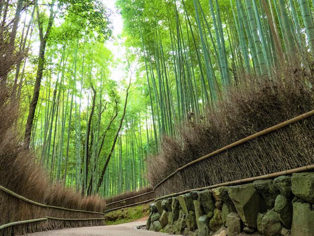 竹林の小径