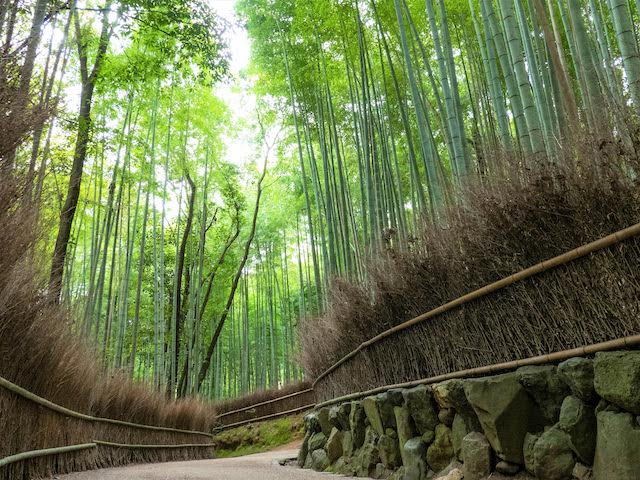 竹林の小径