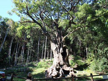 武雄神社