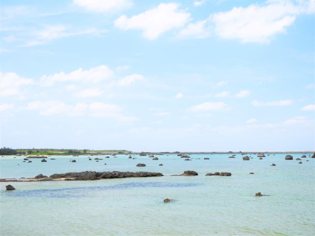 佐和田の浜