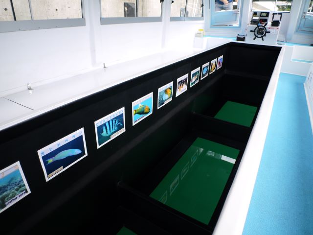 海底観光遊覧船「アークレックス ワン」