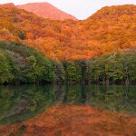 十和田八幡国立公園をめぐる！天空トレッキングと絶景散策！奥入瀬渓流・十和田エリア1泊2日モデルコース