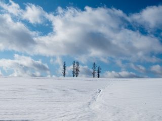 北海道のおすすめ旅行プラン・モデルコース