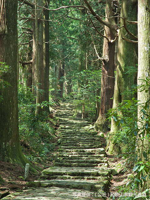 熊野古道 大門坂コース