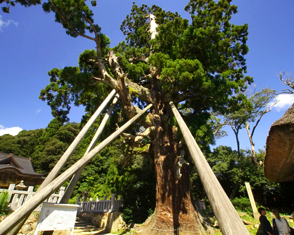 玉若酢命神社