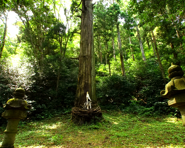 布施の大山神社