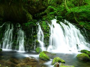 東北 山形のおすすめ旅行プラン モデルコース一覧 人気観光ツアーならオリオンツアー 東北 山形のおすすめ旅行プラン モデルコース一覧 人気観光ツアーならオリオンツアー
