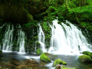 鳥海山麓で癒やしの絶景をめぐる山形・秋田周遊観光 1泊2日ドライブコース