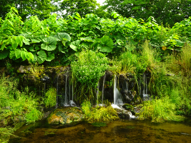 羊蹄山の湧き水