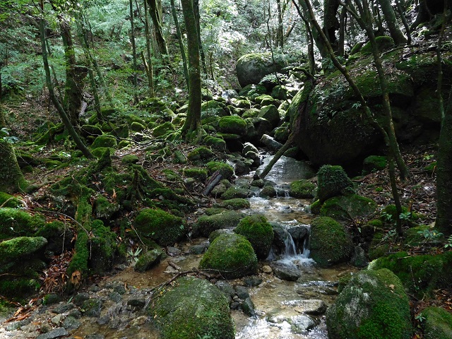 白谷雲水峡