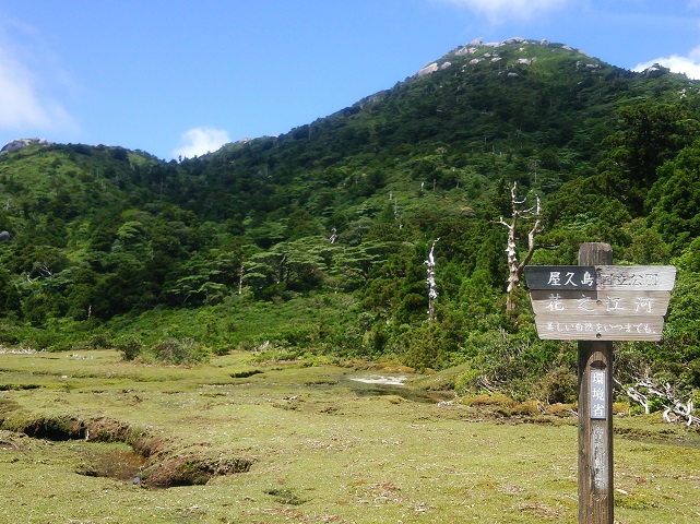 神秘の森で1泊して九州一の山頂から絶景を堪能 世界自然遺産の屋久島を満喫する1泊2日縦走トレッキングの観光モデルコース 九州 屋久島 鹿児島 おすすめ旅行プラン モデルコースならオリオンツアー