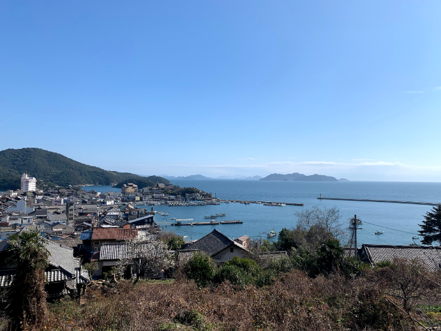 桃林山慈眼院医王寺