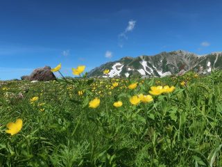 福井に行くなら押さえておきたい 恐竜 お城 絶景 イルミネーションも 1泊2日でめぐる定番観光モデルコース 北陸 福井 おすすめ旅行プラン モデルコースならオリオンツアー