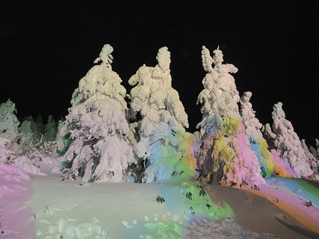 蔵王の樹氷ライトアップ