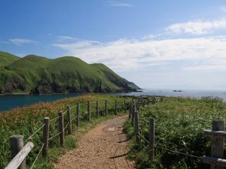 往復空路で楽々移動！ 利尻島・礼文島の自然とグルメを満喫する3泊4日の観光モデルコース