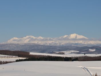 就実の丘（しゅうじつのおか）