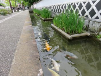 津和野　殿町通り