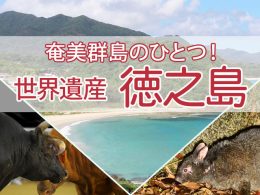 奄美群島のひとつ！徳之島