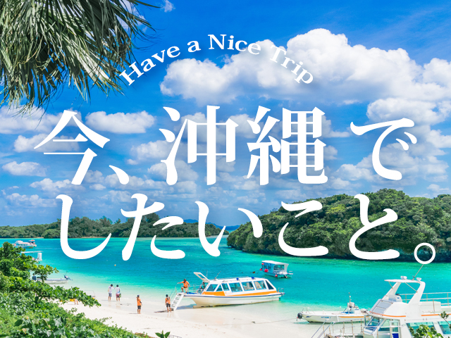体験付きツアー特集inオキナワ