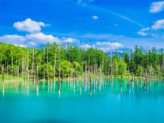 北海道