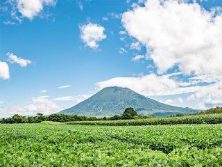 ニセコ・ルスツのおすすめ旅行プラン・モデルコース