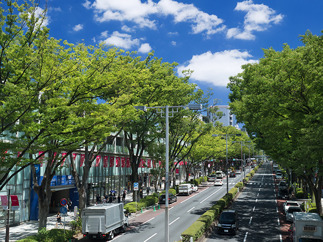 表参道散歩(表参道ヒルズ、原宿キデイランド、東急プラザ原宿「ハラカド」)