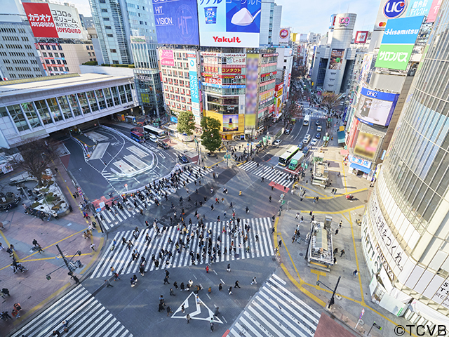 渋谷スクランブル交差点