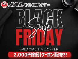 ブラックフライデーセール