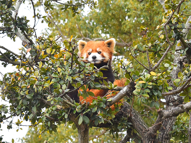 おすすめ施設1.『ファミリー広場』