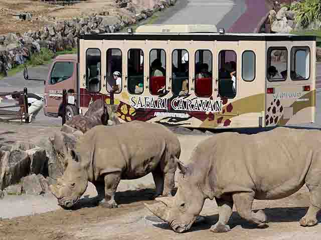 おすすめ施設3.『サファリワールド』