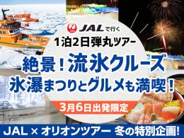 特別企画！冬の絶景めぐりツアー