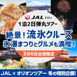 層雲峡氷瀑ツアー（東京発）